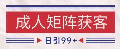 小红书某音橙人赛道引流获客，自热矩阵日引200+【揭秘】 - 网创资源网-网创资源网