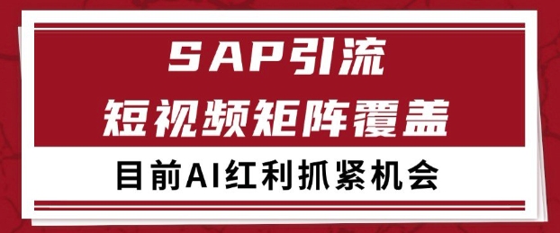 小红书某音sap赛道引流获客 自热矩阵日引200+【揭秘】 - 网创资源网-网创资源网