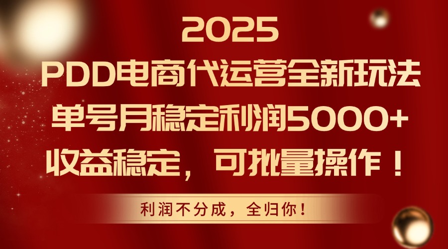 （14839期）2025PDD电商代运营全新玩法，单号月稳定利润5000+，收益稳定，可批量操作-网创资源网