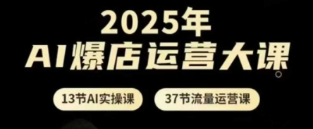 2025年AI爆店运营大课，13节AI实操课+37节流量运营课-网创资源网