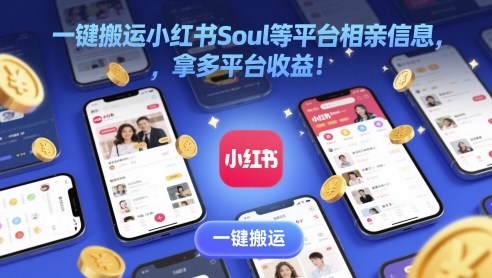 一键搬运小红书Soul等平台相亲信息，拿多平台收益! - 网创资源网-网创资源网