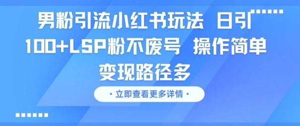 男粉引流小红书玩法，日引100+LSP粉不废号，操作简单，变现路径多 - 网创资源网-网创资源网