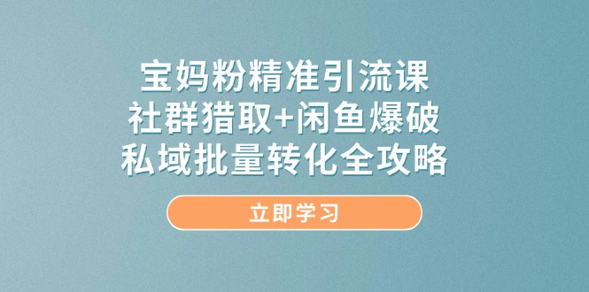 （14820期）宝妈粉精准引流课，社群猎取+闲鱼爆破，私域批量转化全攻略-网创资源网