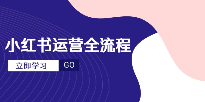 （14861期）小红书运营全流程，爆款选题文案，视频制作技巧，进阶达人宝典 - 网创资源网-网创资源网