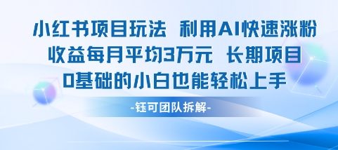 适合小白操作的小红书新项目，利用AI快速涨粉，收益每月平均1W+ - 网创资源网-网创资源网