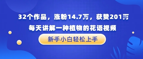 32个作品，涨粉14.7W，获赞201W，每天讲解一种植物的花语视频，无需任何技巧，新手小白轻松上手-网创资源网