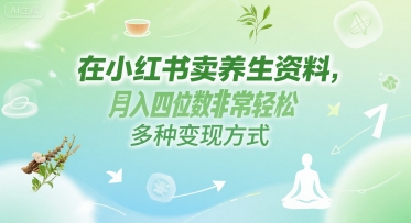 在小红书卖养生资料，月入四位数非常轻松，多种变现方式 - 网创资源网-网创资源网