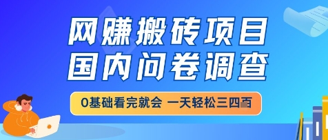 网创搬砖项目,国内问卷调查,小白轻松上手,一天三四张的也不难,干就完了【揭秘】 - 网创资源网-网创资源网