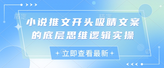 小说推文开头吸睛文案的底层思维逻辑实操 - 网创资源网-网创资源网