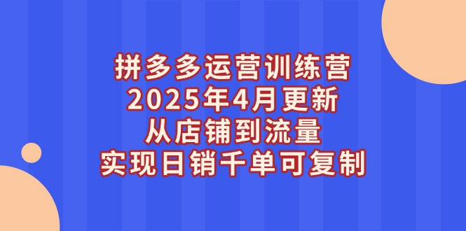 （14469期）拼多多运营训练营2025年4月更新，从店铺到流量，实现日销千单可复制 - 网创资源网-网创资源网
