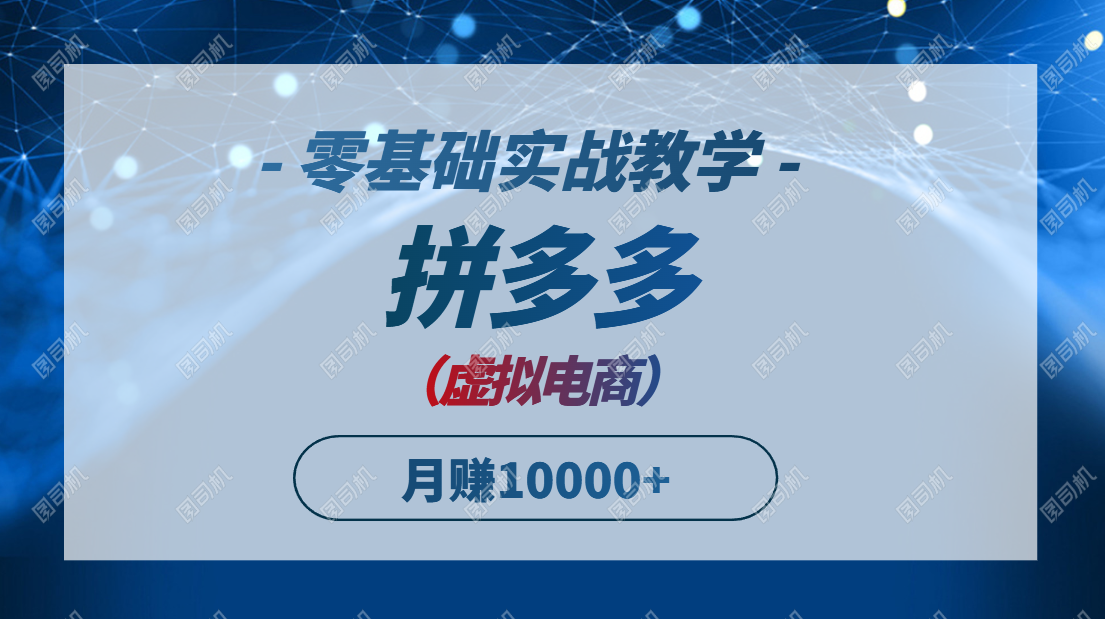 （14880期）拼多多虚拟电商，零基础实战教学，快速打爆商品，新手也能月入10000+ - 网创资源网-网创资源网