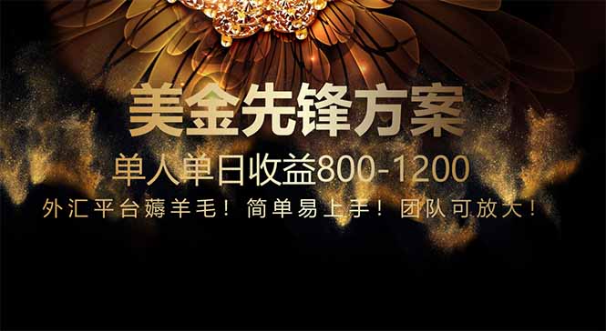 （14761期）免费技术！小众赛道！一年布局抵三年努力，每日800+ - 网创资源网-网创资源网