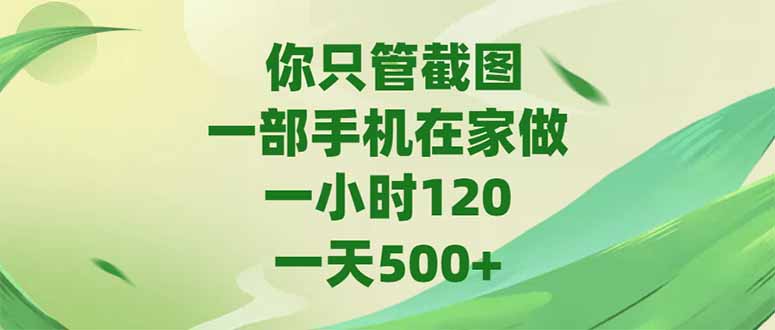 （15039期）你只管截图，一部手机在家做，一小时120，-天500+ - 网创资源网-网创资源网