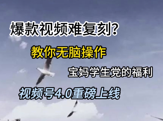 视频号4.0重磅上线，爆款视频难复刻？教你无脑操作宝妈学生党的福利【揭秘】 - 网创资源网-网创资源网