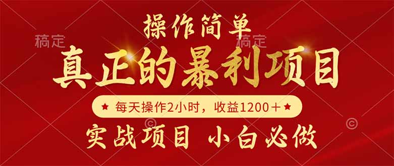 （14978期）真正的暴利项目，操作简单，每天收益1200＋，自己做老板 - 网创资源网-网创资源网