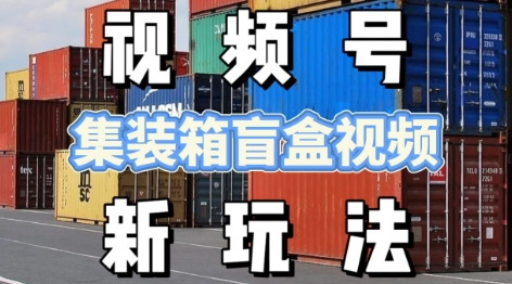 视频号新玩法，利用老外开集装箱盲盒视频，挣分成计划收益，月入过W，新手小白轻松上手 - 网创资源网-网创资源网