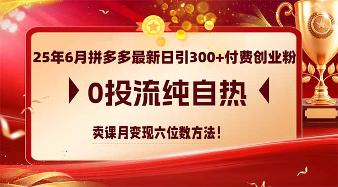 （14989期）25年6月拼多多最新日引300+付费创业粉，0投流纯自热 卖课月变现六位数方法 - 网创资源网-网创资源网