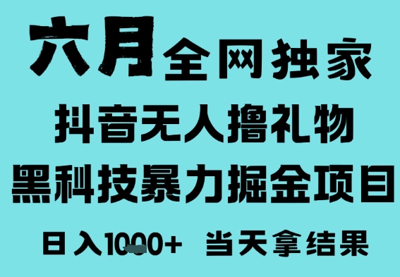 25年6月高爆抖音无人直播最新撸音浪掘金项目,门槛低小白可做,无脑日入1k,可矩阵放大【揭秘】 - 网创资源网-网创资源网