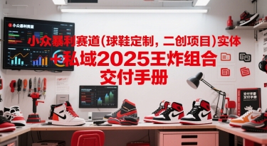小众暴利赛道(球鞋定制，二创项目)实体+私域2025王炸组合  交付手册 - 网创资源网-网创资源网