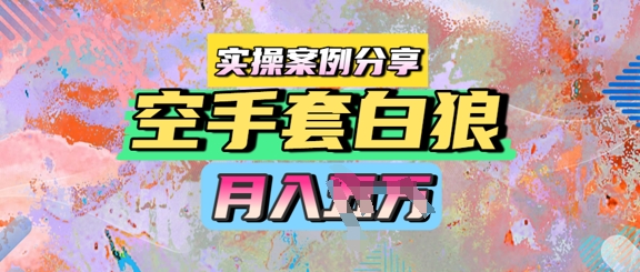 空手套白狼，月入过1W，实操案例分享-网创资源网