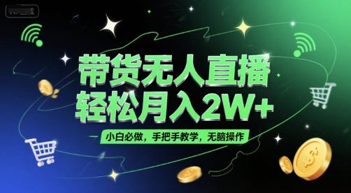 带货无人直播，轻松月入2W+，小白必做，手把手教学，无脑操作(附学习资料)-网创资源网