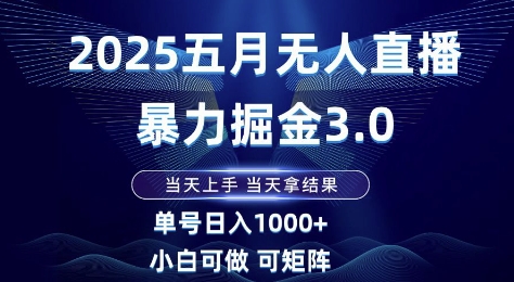 2025五月无人直播暴力掘金3.0，当天上手，当天拿结果，单号日入1k+小白可做可矩阵【揭秘】-网创资源网
