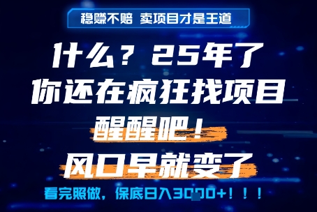 什么？25年你还在疯狂找项目做，醒醒吧，看完这些你全都懂了！【揭秘】-网创资源网