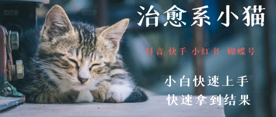 拆解，疯狂火爆！抖音，小红书，视频号小猫治愈的视频，轻松制作+快速拿到结果 - 网创资源网-网创资源网