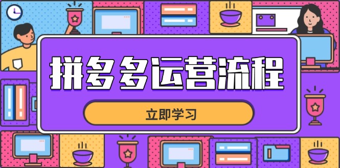 （14503期）拼多多运营流程，从选品到流量，全链路运营技巧，助力店铺爆单 - 网创资源网-网创资源网