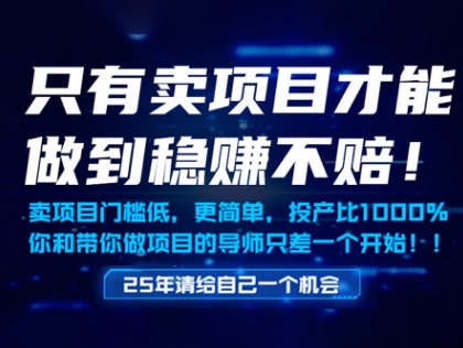 只有卖项目才能做到稳挣不赔，门槛低，更简单，你也可以年入百个W【揭秘】 - 网创资源网-网创资源网