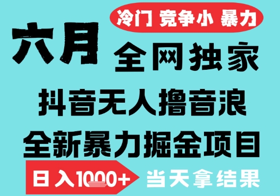 2025年6月高爆抖音无人直播最新撸音浪掘金项目，无脑日入1k+，低门槛小白可做，可矩阵放大【揭秘】 - 网创资源网-网创资源网