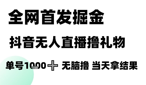 全网首发掘金抖音无人直播撸礼物,单号1k +无脑撸,当天拿结果【揭秘】 - 网创资源网-网创资源网